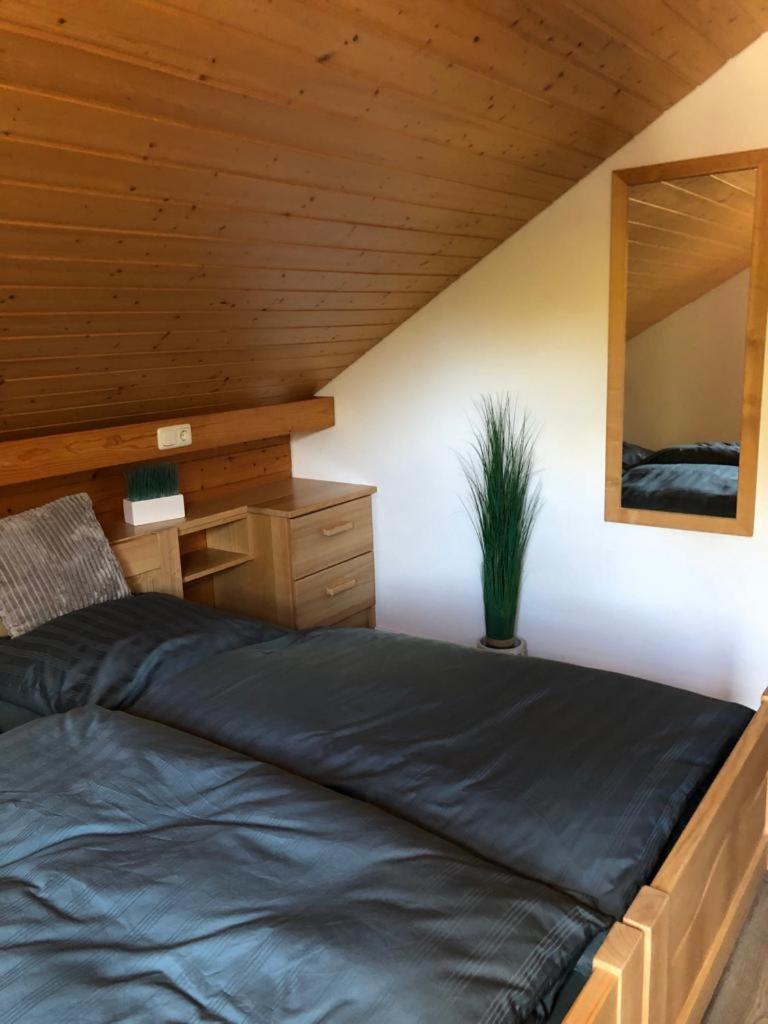 Ferienwohnung Buchenblick Моншау Екстер'єр фото